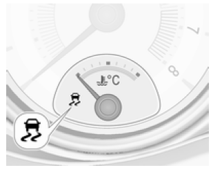 Controllo elettronico della stabilità 