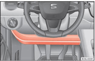 Fig. 121 Sul lato del conducente: portaoggetti.